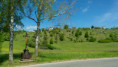 /album/balcarka-brunn/a-2-jpg1/